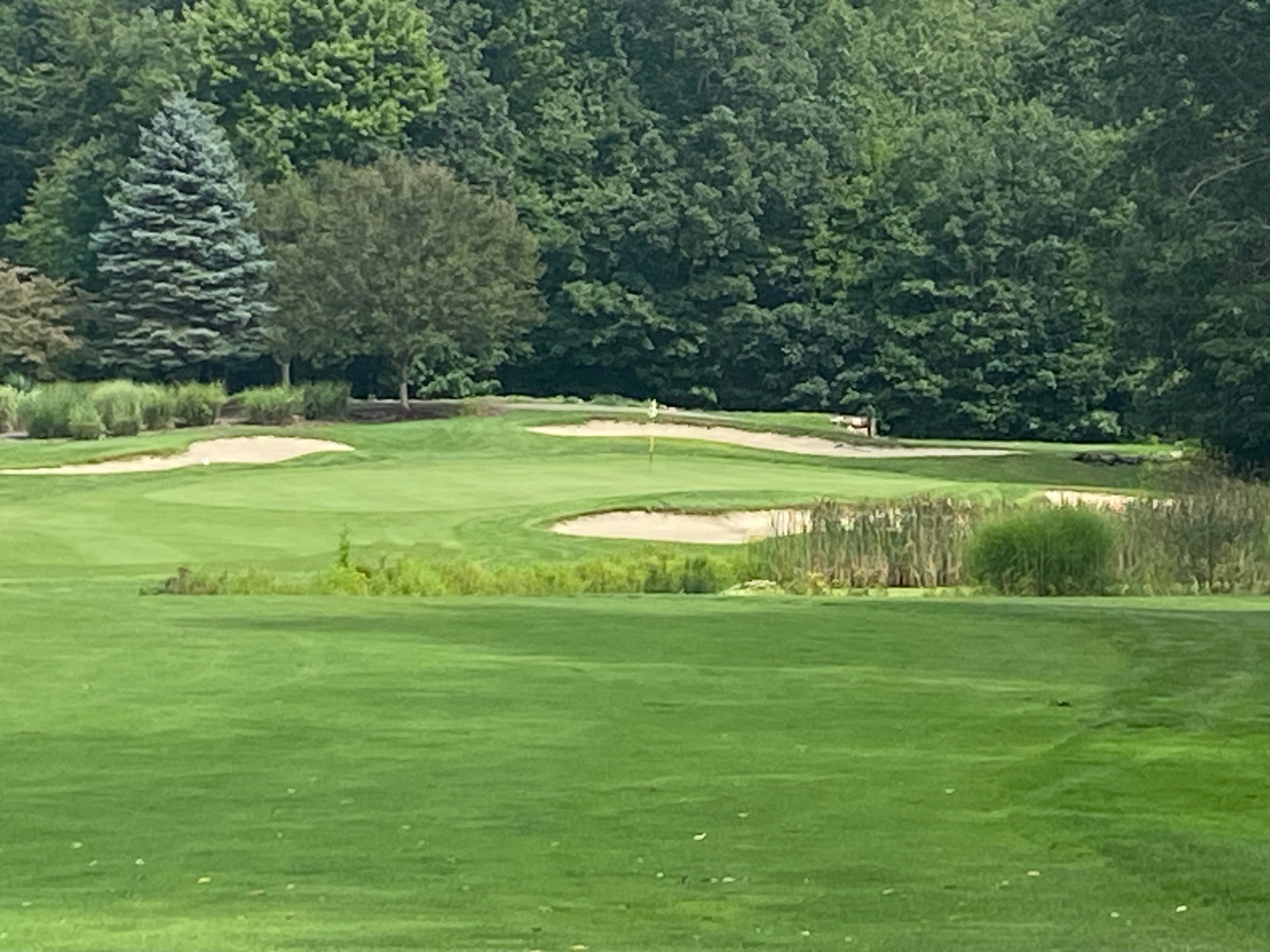 Hole #5
